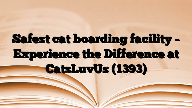 Safest cat boarding facility – Experience the Difference at CatsLuvUs