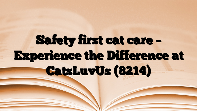Safety first cat care – Experience the Difference at CatsLuvUs