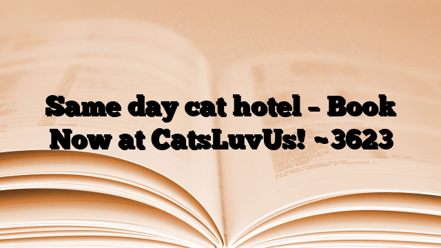 Same day cat hotel – Book Now at CatsLuvUs!