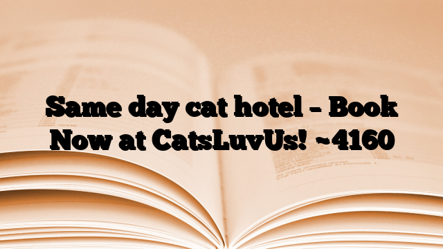 Same day cat hotel – Book Now at CatsLuvUs!