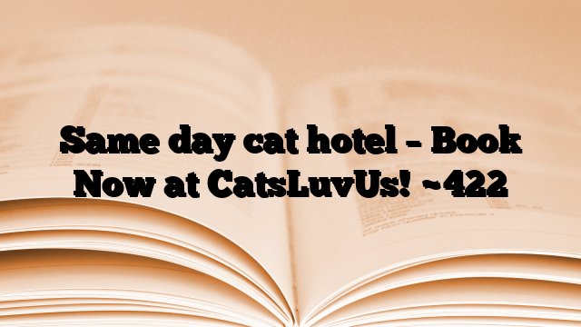 Same day cat hotel – Book Now at CatsLuvUs!