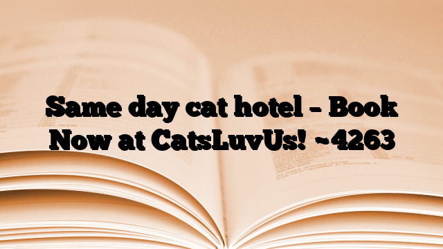 Same day cat hotel – Book Now at CatsLuvUs!