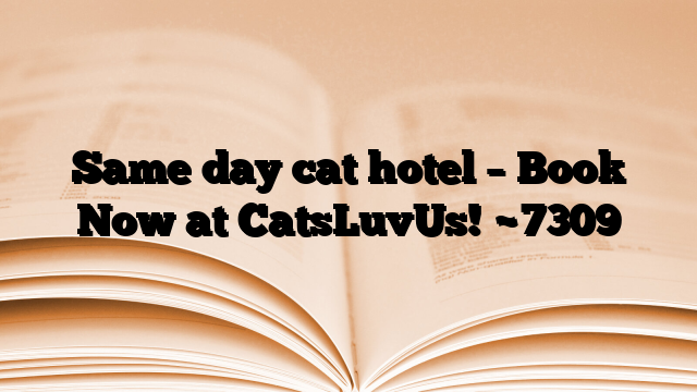 Same day cat hotel – Book Now at CatsLuvUs!