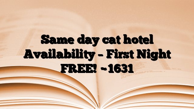 Same day cat hotel Availability – First Night FREE!