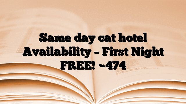 Same day cat hotel Availability – First Night FREE!