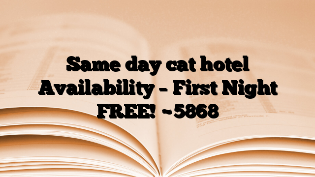 Same day cat hotel Availability – First Night FREE!