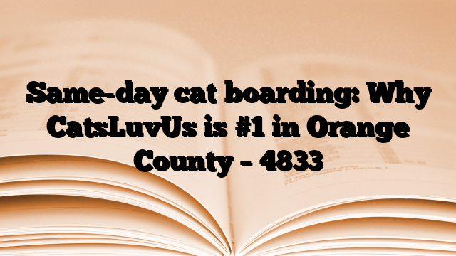 Same-day cat boarding: Why CatsLuvUs is #1 in Orange County