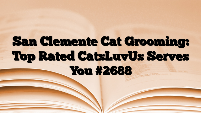 San Clemente Cat Grooming: Top Rated CatsLuvUs Serves You