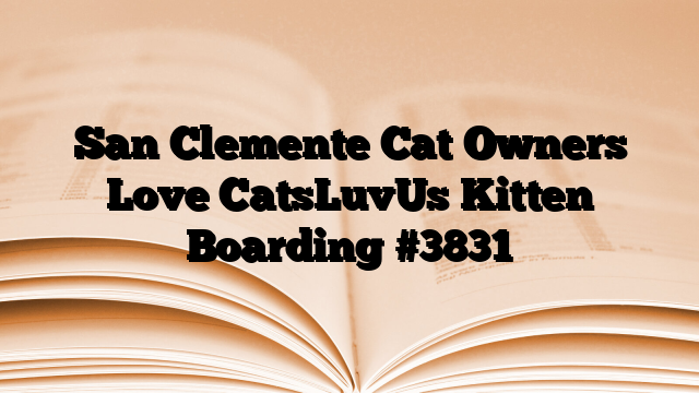 San Clemente Cat Owners Love CatsLuvUs Kitten Boarding