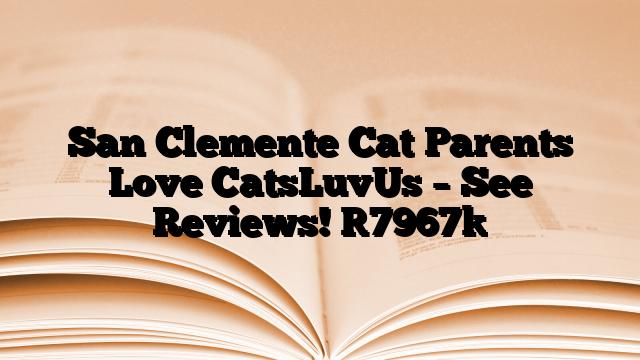 San Clemente Cat Parents Love CatsLuvUs – See Reviews!