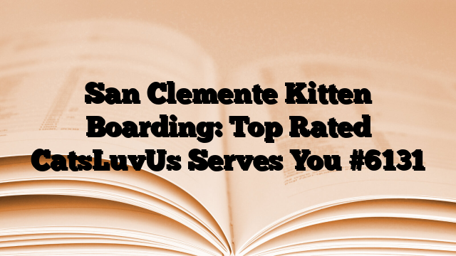 San Clemente Kitten Boarding: Top Rated CatsLuvUs Serves You