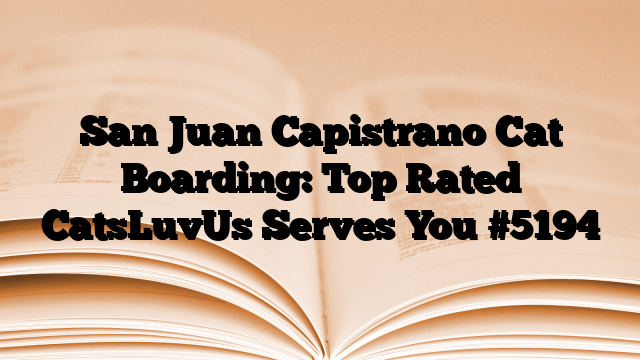 San Juan Capistrano Cat Boarding: Top Rated CatsLuvUs Serves You