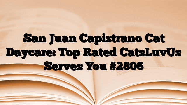 San Juan Capistrano Cat Daycare: Top Rated CatsLuvUs Serves You