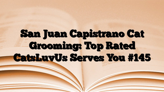 San Juan Capistrano Cat Grooming: Top Rated CatsLuvUs Serves You