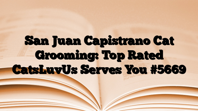 San Juan Capistrano Cat Grooming: Top Rated CatsLuvUs Serves You