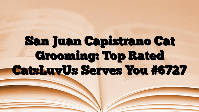 San Juan Capistrano Cat Grooming: Top Rated CatsLuvUs Serves You