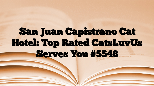 San Juan Capistrano Cat Hotel: Top Rated CatsLuvUs Serves You