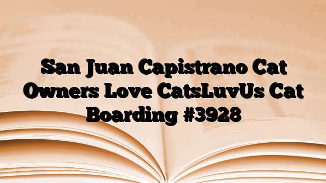 San Juan Capistrano Cat Owners Love CatsLuvUs Cat Boarding