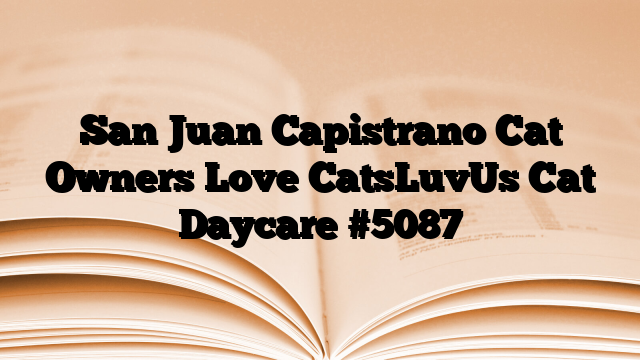 San Juan Capistrano Cat Owners Love CatsLuvUs Cat Daycare