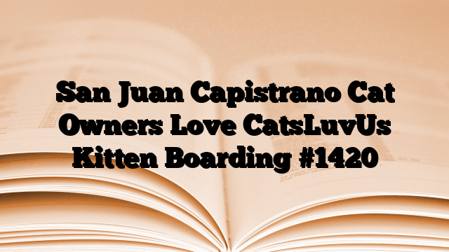 San Juan Capistrano Cat Owners Love CatsLuvUs Kitten Boarding
