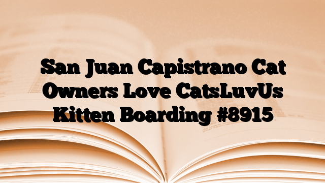 San Juan Capistrano Cat Owners Love CatsLuvUs Kitten Boarding