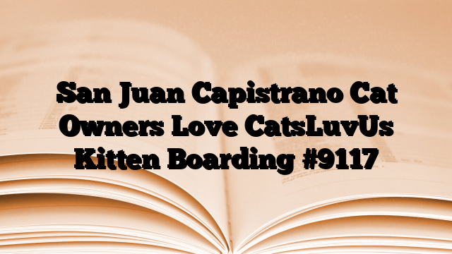 San Juan Capistrano Cat Owners Love CatsLuvUs Kitten Boarding