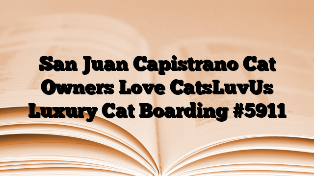 San Juan Capistrano Cat Owners Love CatsLuvUs Luxury Cat Boarding
