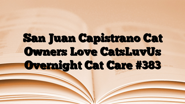 San Juan Capistrano Cat Owners Love CatsLuvUs Overnight Cat Care