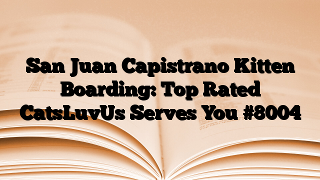 San Juan Capistrano Kitten Boarding: Top Rated CatsLuvUs Serves You