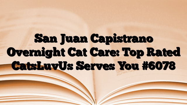 San Juan Capistrano Overnight Cat Care: Top Rated CatsLuvUs Serves You