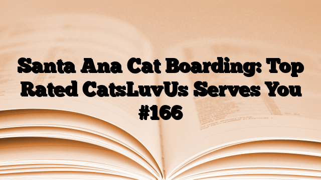 Santa Ana Cat Boarding: Top Rated CatsLuvUs Serves You