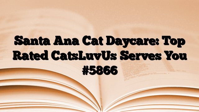 Santa Ana Cat Daycare: Top Rated CatsLuvUs Serves You