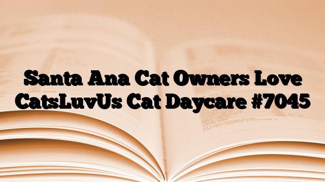 Santa Ana Cat Owners Love CatsLuvUs Cat Daycare