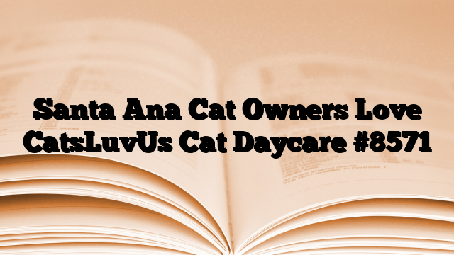Santa Ana Cat Owners Love CatsLuvUs Cat Daycare