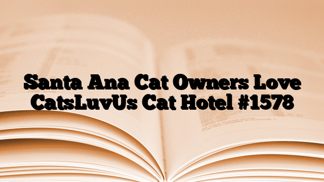 Santa Ana Cat Owners Love CatsLuvUs Cat Hotel