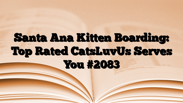 Santa Ana Kitten Boarding: Top Rated CatsLuvUs Serves You