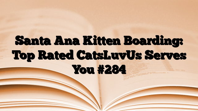 Santa Ana Kitten Boarding: Top Rated CatsLuvUs Serves You