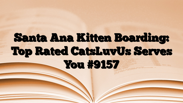 Santa Ana Kitten Boarding: Top Rated CatsLuvUs Serves You