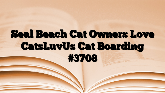 Seal Beach Cat Owners Love CatsLuvUs Cat Boarding