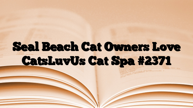 Seal Beach Cat Owners Love CatsLuvUs Cat Spa