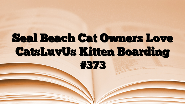Seal Beach Cat Owners Love CatsLuvUs Kitten Boarding