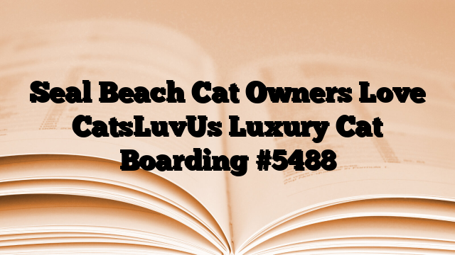 Seal Beach Cat Owners Love CatsLuvUs Luxury Cat Boarding