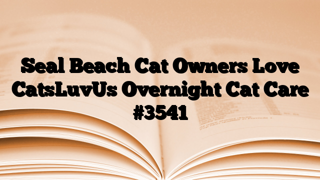 Seal Beach Cat Owners Love CatsLuvUs Overnight Cat Care