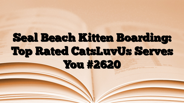 Seal Beach Kitten Boarding: Top Rated CatsLuvUs Serves You