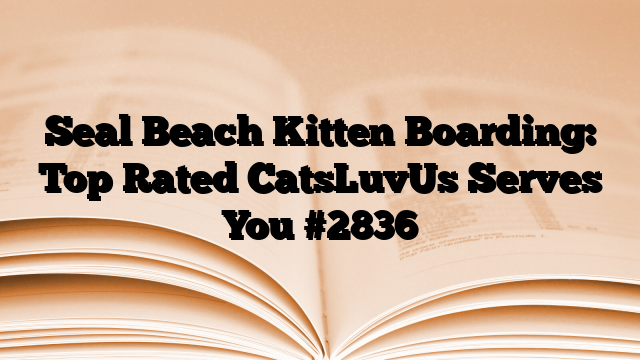 Seal Beach Kitten Boarding: Top Rated CatsLuvUs Serves You