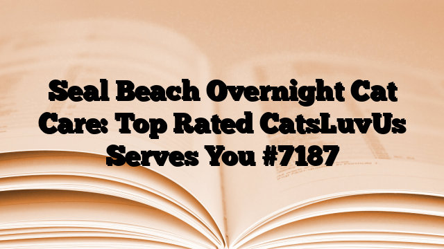 Seal Beach Overnight Cat Care: Top Rated CatsLuvUs Serves You