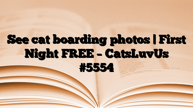 See cat boarding photos | First Night FREE – CatsLuvUs