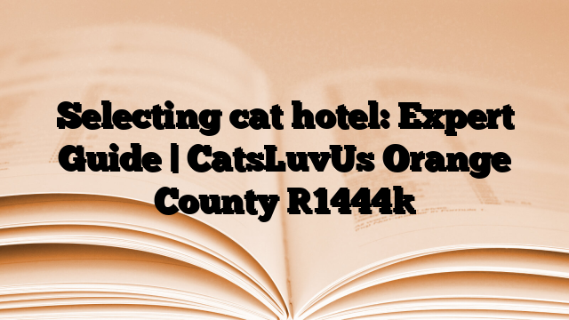 Selecting cat hotel: Expert Guide | CatsLuvUs Orange County