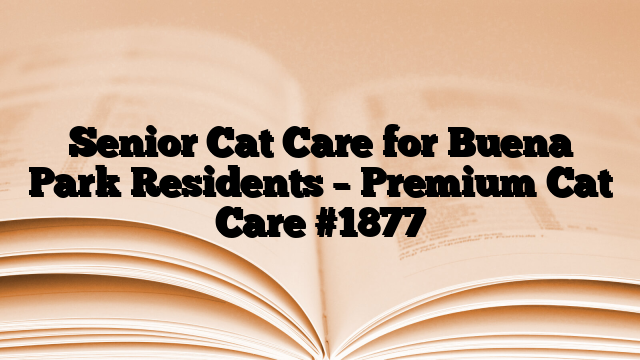 Senior Cat Care for Buena Park Residents – Premium Cat Care