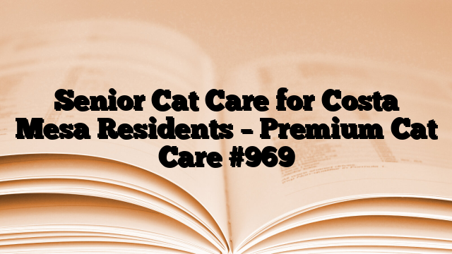 Senior Cat Care for Costa Mesa Residents – Premium Cat Care